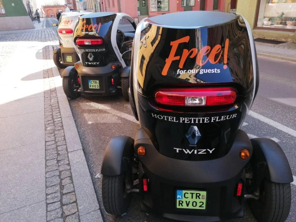Hotel Petite Fleur Toruń